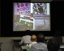 Ļ���Ϥ�Τդ����Ⱥǿ�Ĵ��